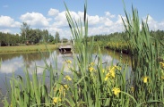 DSC08910.JPG