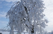 DSC04054.JPG