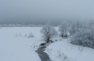 DSCF0896.JPG