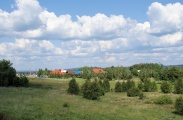 DSC08937.JPG
