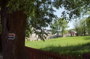 DSC08857.JPG