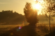 DSC06672.JPG