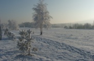 DSCF0887.JPG