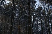 DSC01498.JPG