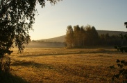 DSC06674.JPG