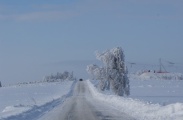 DSC04059.JPG