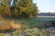 DSC06687.JPG