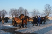 DSCF5763.JPG