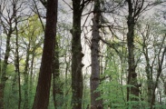 fot 041 036 chelmowa gora 2A.jpg