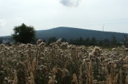 DSCF0355.JPG
