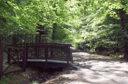 DSC08865.JPG