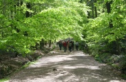 IMG_3851.JPG