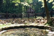 DSC08878.JPG