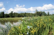 DSC08932.JPG